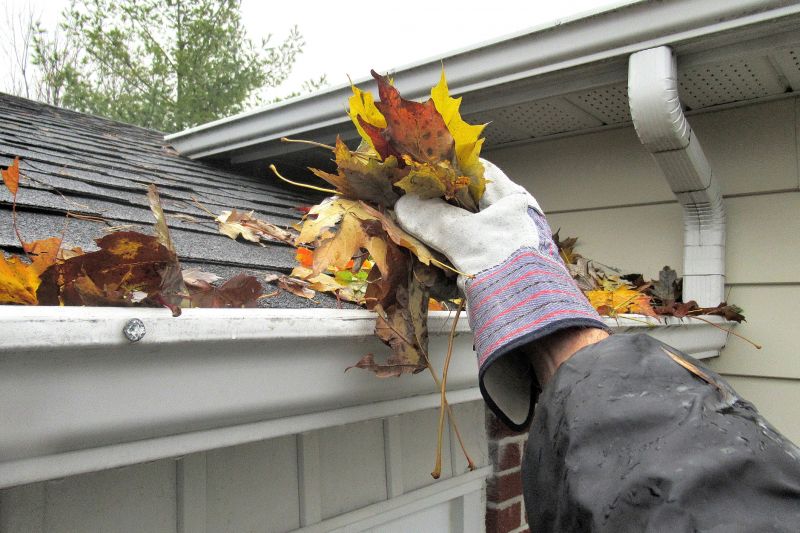 Gutter Leaves Removal in Monmouth County, NJ